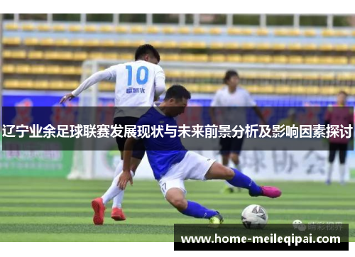 辽宁业余足球联赛发展现状与未来前景分析及影响因素探讨
